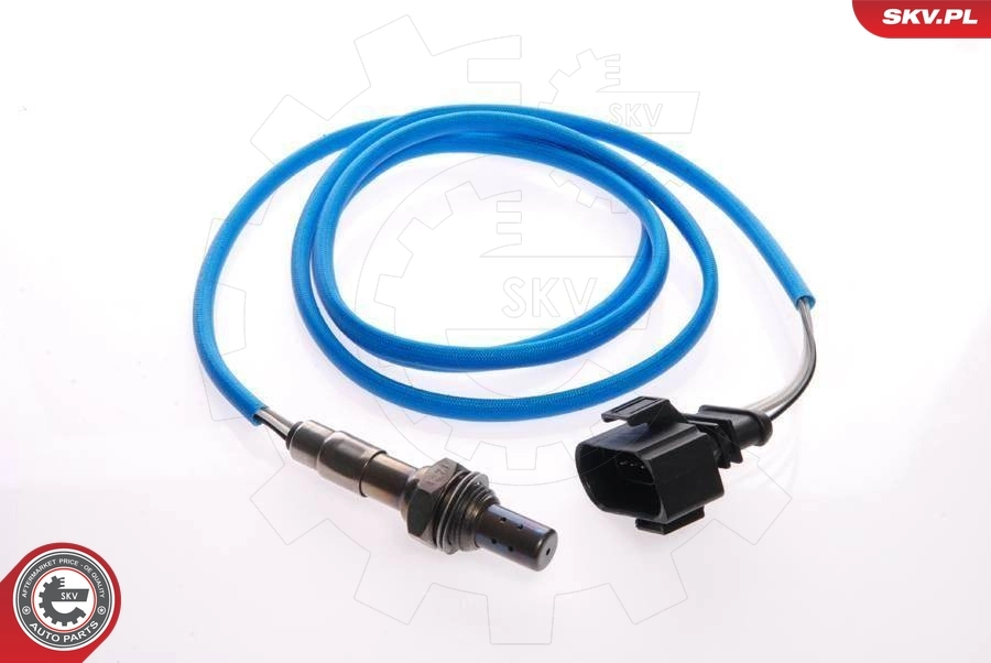 Oxygen Sensor
